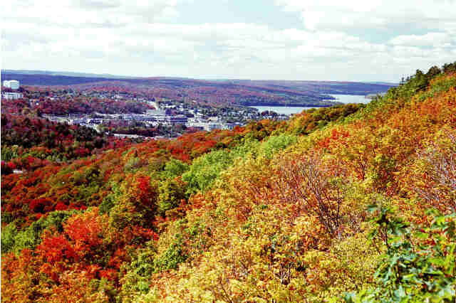 View from Elliot Lake Lookout Tower