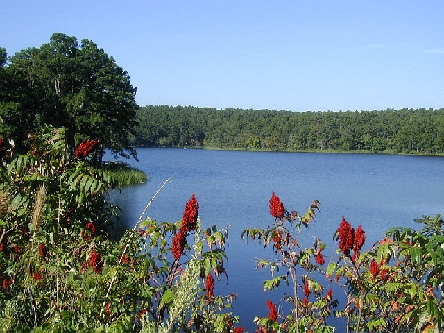 View of Cedar Lake from the hiking trail