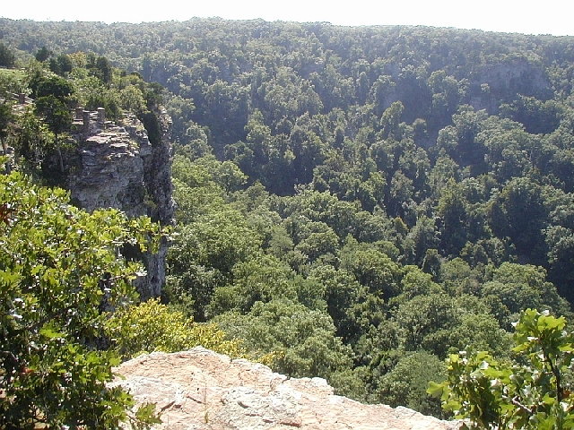 View from roadside vista in Mount Magazine State Park